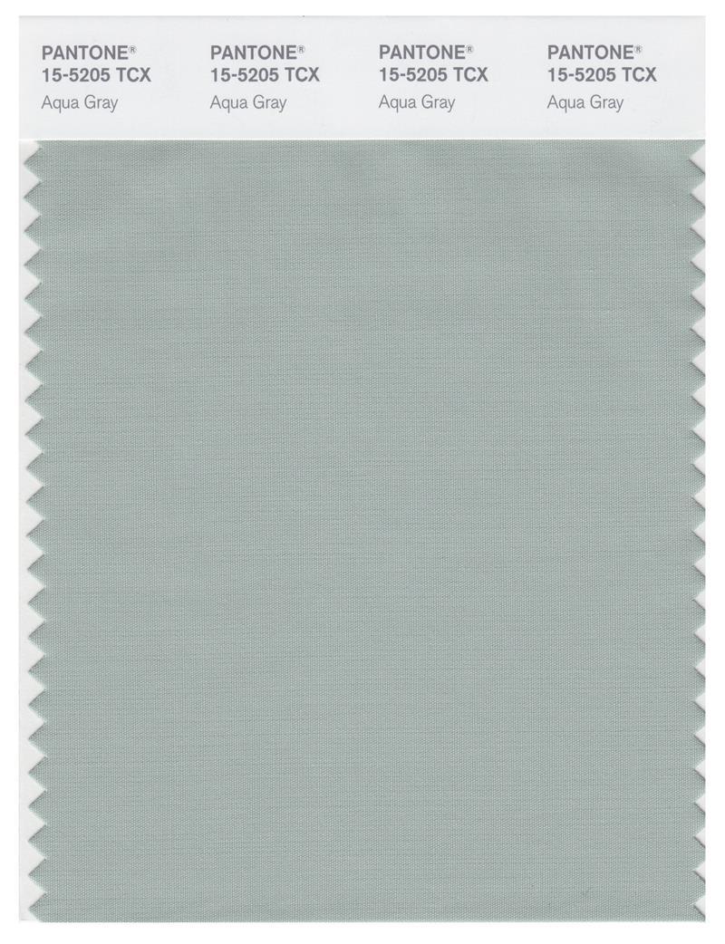 Pantone Smart 15-5205 TCX Color Swatch Card | Aqua Gray | Magazine