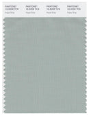 Pantone Smart 15-5205 TCX Color Swatch Card | Aqua Gray