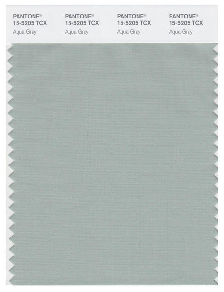 Pantone Smart 15-5205 TCX Color Swatch Card | Aqua Gray | Magazine