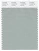 Pantone Smart 15-5205 TCX Color Swatch Card | Aqua Gray