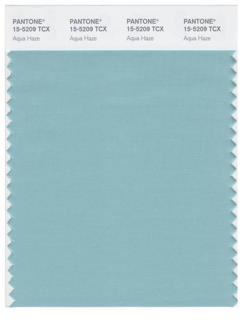 Pantone Smart 15-5209 TCX Color Swatch Card | Aqua Haze | Magazine