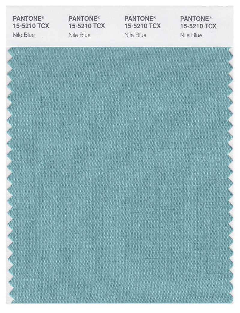 Pantone Smart 15-5210 TCX Color Swatch Card | Nile Blue | Magazine