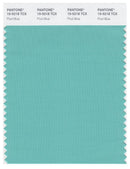Pantone Smart 15-5218 TCX Color Swatch Card | Pool Blue
