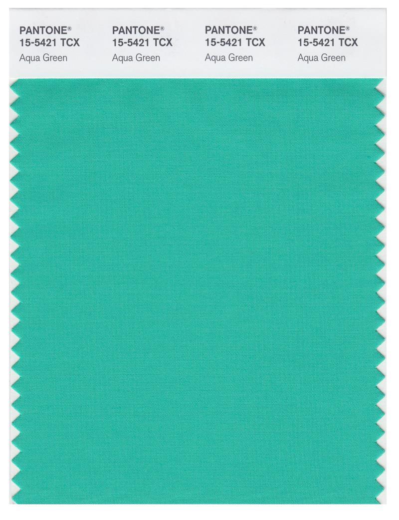 Pantone Smart 15 5421 TCX Color Swatch Card Aqua Green Magazine pantone-smart-15-5421-tcx-color-swatch-card-aqua-green-magazine