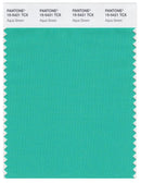 Pantone Smart 15-5421 TCX Color Swatch Card | Aqua Green