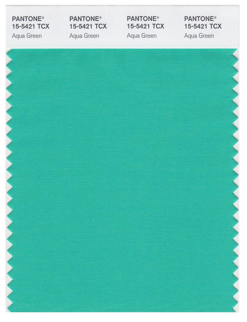 Pantone Smart 15-5421 TCX Color Swatch Card | Aqua Green
