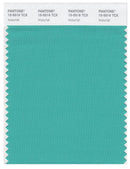 Pantone Smart 15-5516 TCX Color Swatch Card | Waterfall