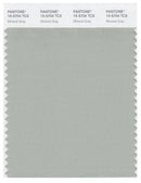 Pantone Smart 15-5704 TCX Color Swatch Card | Mineral Gray