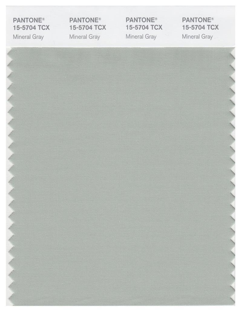 Pantone Smart 15-5704 TCX Color Swatch Card | Mineral Gray