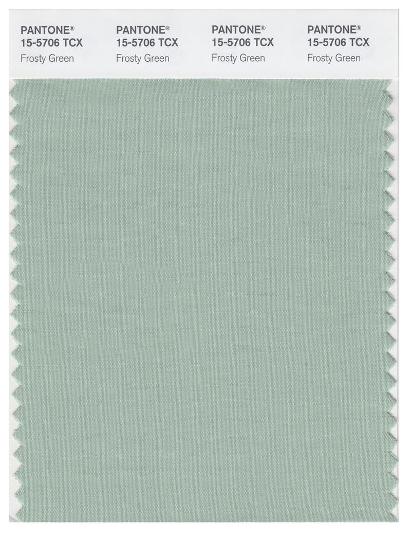 Pantone Smart 15-5706 TCX Color Swatch Card | Frosty Green