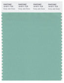 Pantone Smart 15-5711 TCX Color Swatch Card | Dusty Jade Green