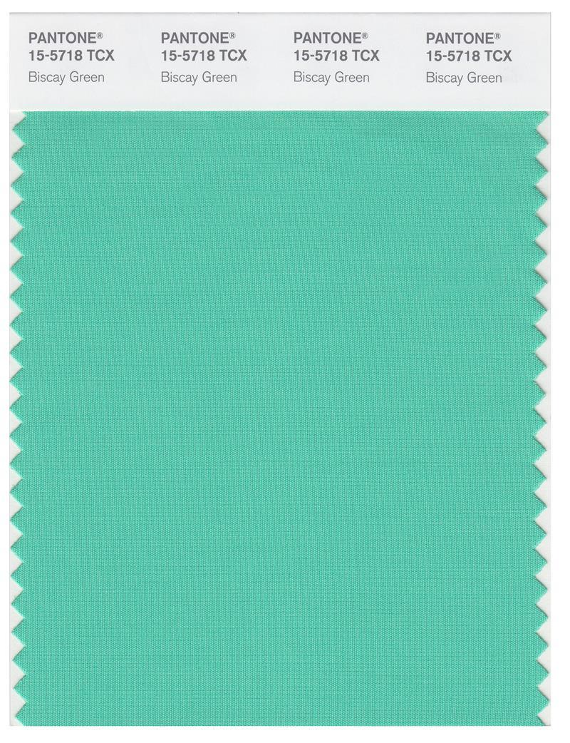 Pantone Smart 15-5718 TCX Color Swatch Card | Biscay Green