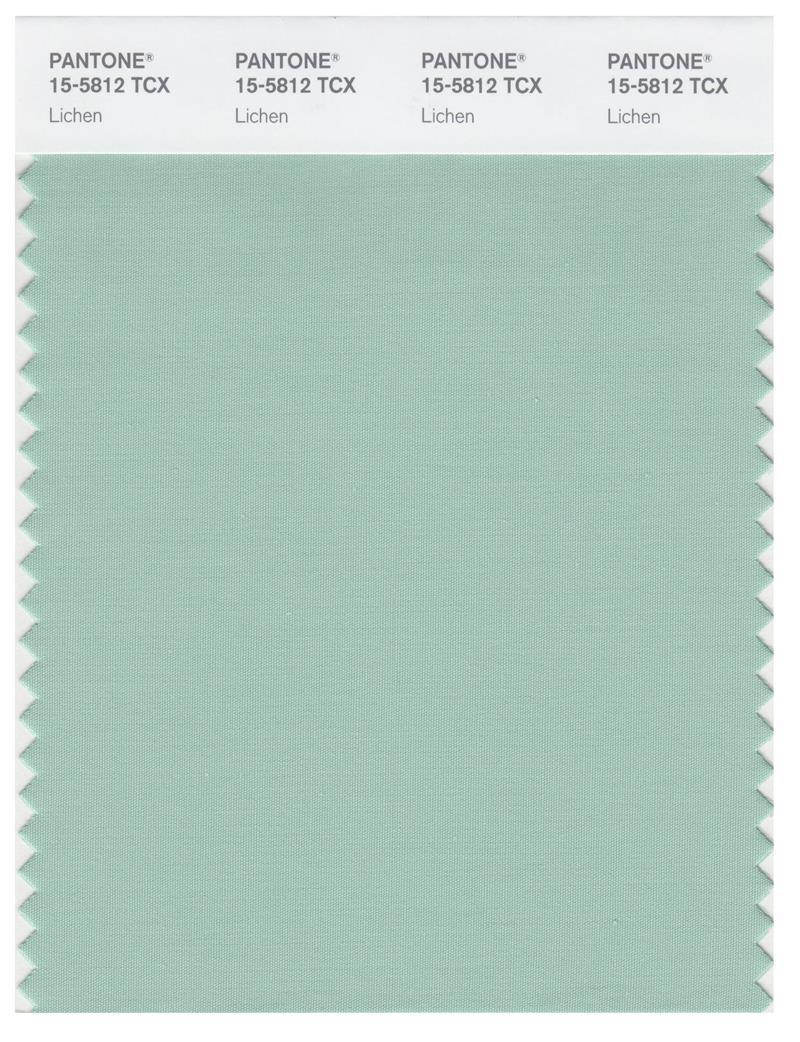 その他 PANTONE FASHION+ Pantone Smart 15-5812 TCX Color Swatch Card | Lichen | Magazine