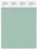 Pantone Smart 15-5812 TCX Color Swatch Card | Lichen
