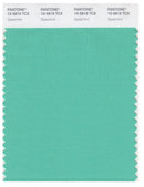 Pantone Smart 15-5819 TCX Color Swatch Card | Spearmint