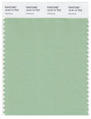 Pantone Smart 15-6114 TCX Color Swatch Card | Hemlock