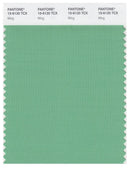 Pantone Smart 15-6120 TCX Color Swatch Card | Ming
