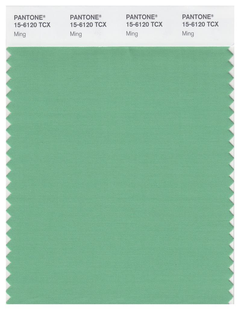 Pantone Smart 15-6120 TCX Color Swatch Card | Ming