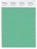 Pantone Smart 15-6123 TCX Color Swatch Card | Jade Cream