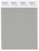 Pantone Smart 15-6304 TCX Color Swatch Card | Pussywillow Gray