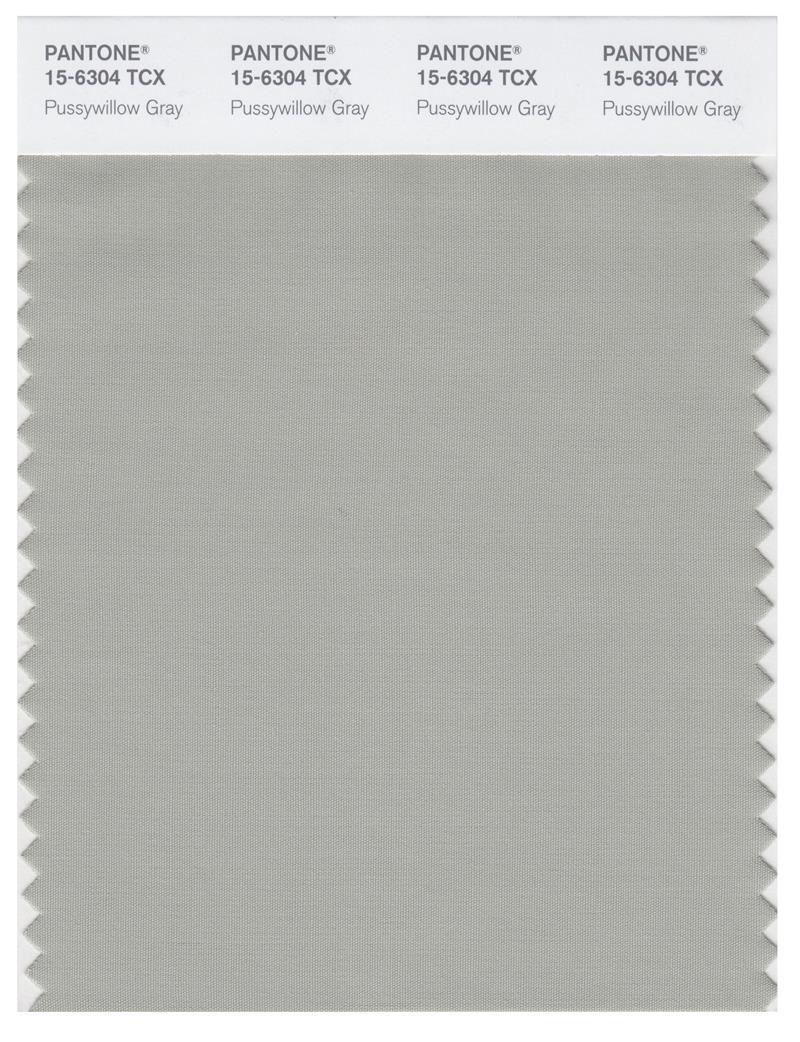 Pantone Smart 15-6304 TCX Color Swatch Card | Pussywillow Gray