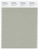 Pantone Smart 15-6307 TCX Color Swatch Card | Agate Gray