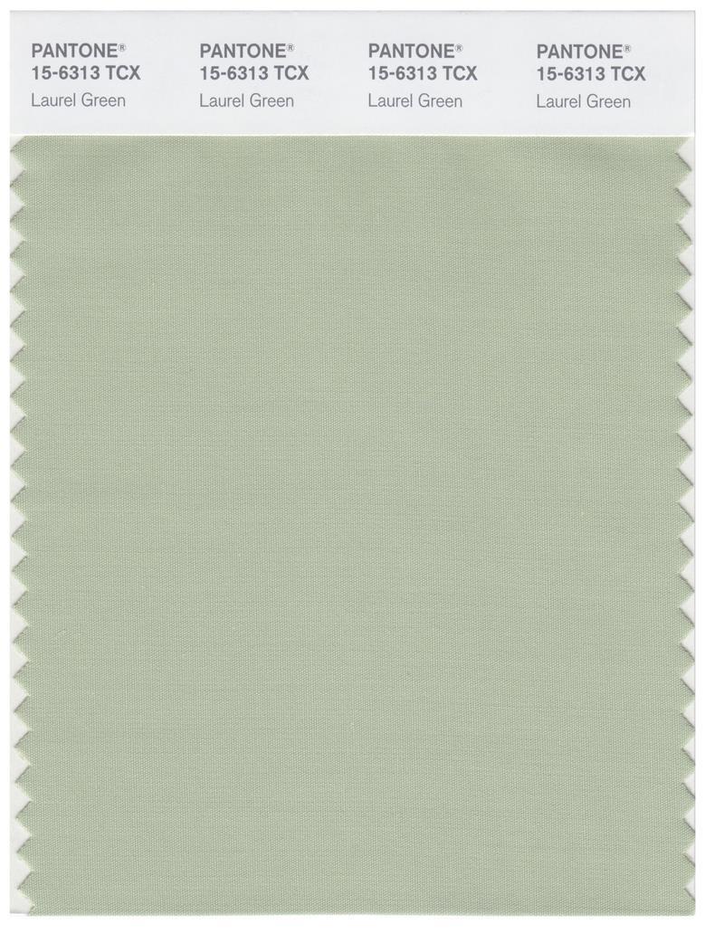 Pantone Smart 15-6313 TCX Color Swatch Card | Laurel Green