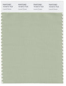 Pantone Smart 15-6313 TCX Color Swatch Card | Laurel Green