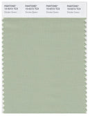 Pantone Smart 15-6315 TCX Color Swatch Card | Smoke Green