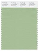 Pantone Smart 15-6317 TCX Color Swatch Card | Quiet Green