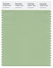 Pantone Smart 15-6317 TCX Color Swatch Card | Quiet Green