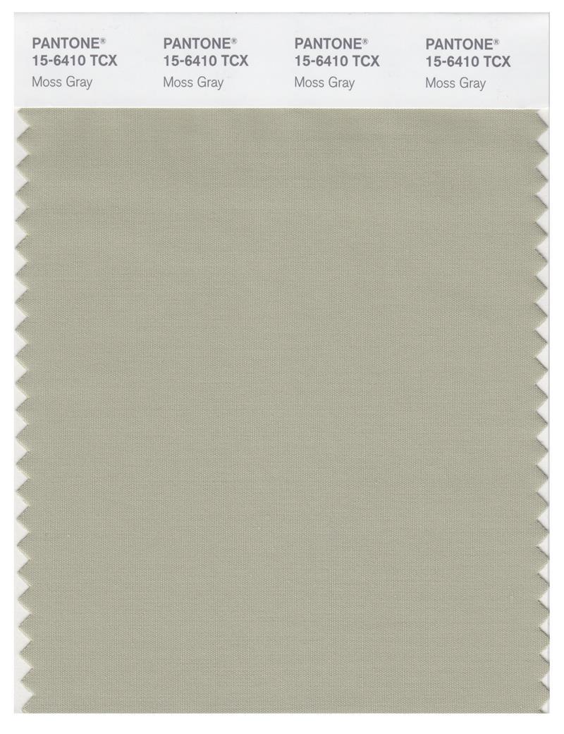 Pantone Smart 15-6410 TCX Color Swatch Card | Moss Gray | Magazine