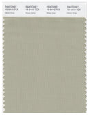 Pantone Smart 15-6410 TCX Color Swatch Card | Moss Gray