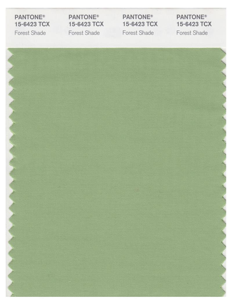 Pantone Smart 15 6423 TCX Color Swatch Card Forest Shade Magazine