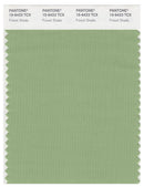 Pantone Smart 15-6423 TCX Color Swatch Card | Forest Shade