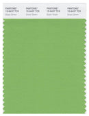 Pantone Smart 15-6437 TCX Color Swatch Card | Grass Green