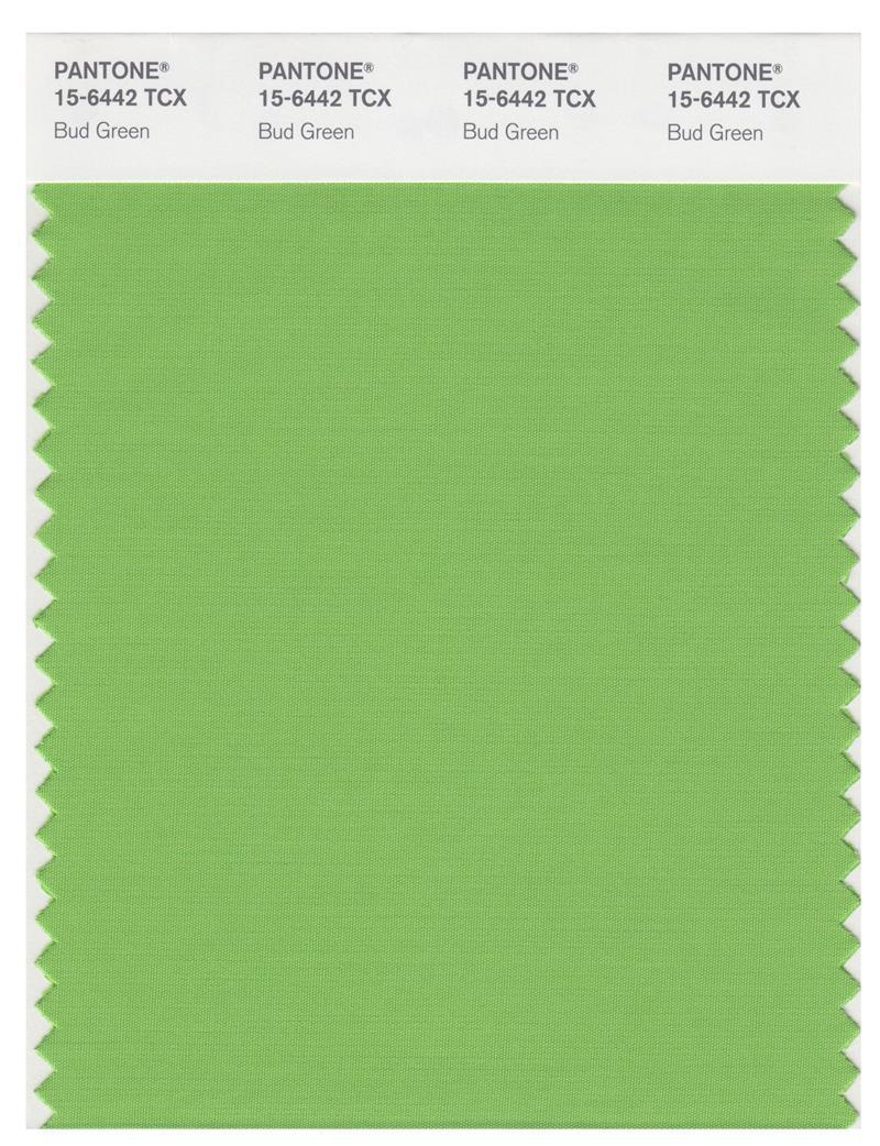 Pantone Smart 15-6442 TCX Color Swatch Card | Bud Green | Magazine