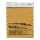 Pantone Smart 15-0960 TCX Color Swatch Card | Mango Mojito