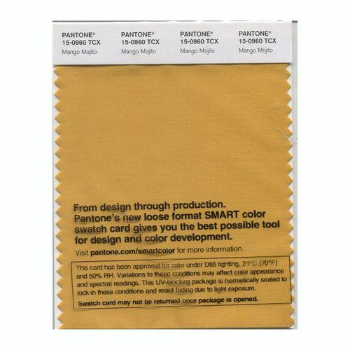 Pantone Smart 15-0960 TCX Color Swatch Card | Mango Mojito