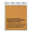 Pantone Smart 15-1045 TCX Color Swatch Card | Autumn Blaze