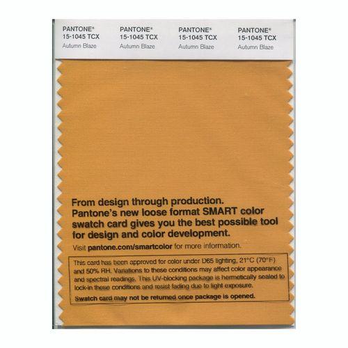 Pantone Smart 15-1045 TCX Color Swatch Card | Autumn Blaze