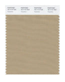 Pantone Smart 15-1114 TCX Color Swatch Card | Travertine