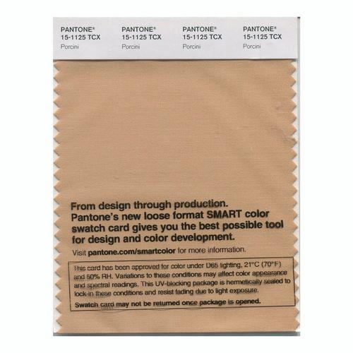 Pantone Smart 15-1125 TCX Color Swatch Card | Porcini | Magazine