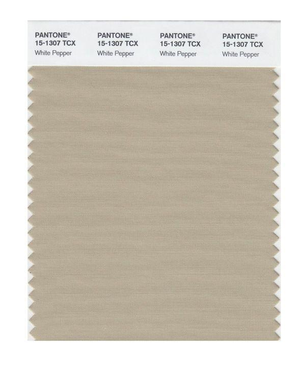 Pantone Smart 15-1307 TCX Color Swatch Card | White Pepper
