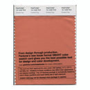 Pantone Smart 15-1429 TCX Color Swatch Card | Dusted Clay