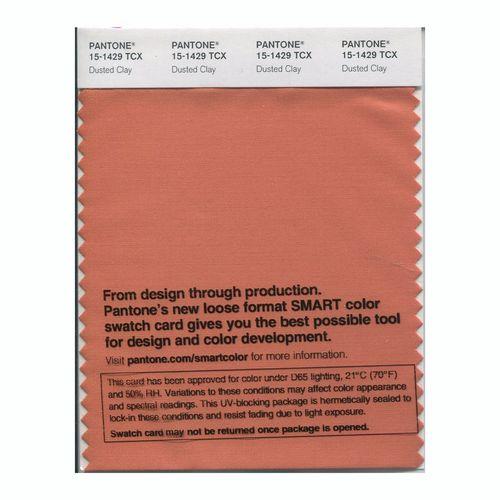 Pantone Smart 15-1429 TCX Color Swatch Card | Dusted Clay