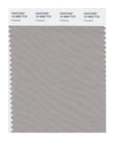 Pantone Smart 15-3800 TCX Color Swatch Card | Porpoise