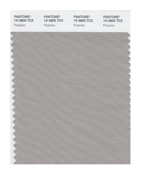 Pantone Smart 15-3800 TCX Color Swatch Card | Porpoise | Magazine