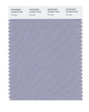 Pantone Smart 15-3912 TCX Color Swatch Card | Aleutian
