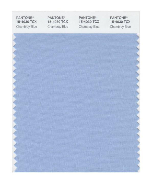 Pantone Smart 15-4030 TCX Color Swatch Card | Chambray Blue